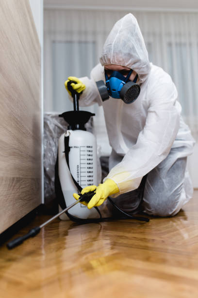 Real Estate Pest Inspections in Temple City, CA